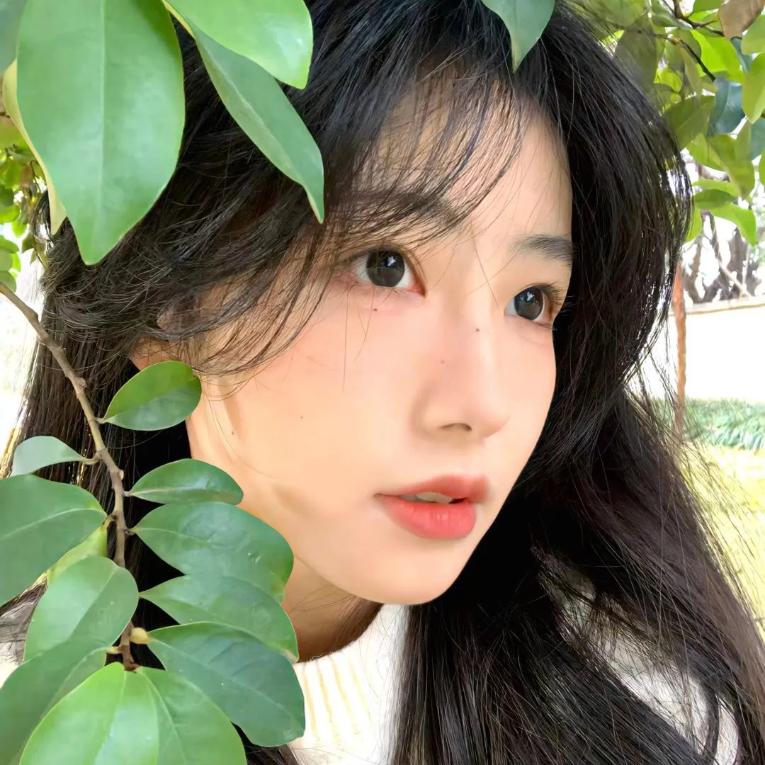 麦克尔